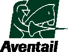 Aventail, Inc.