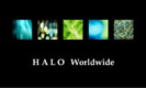 HALO Worldwide